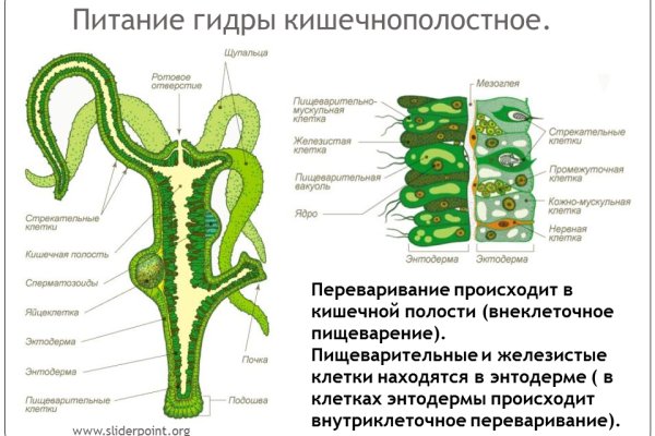 Новый сайт мега